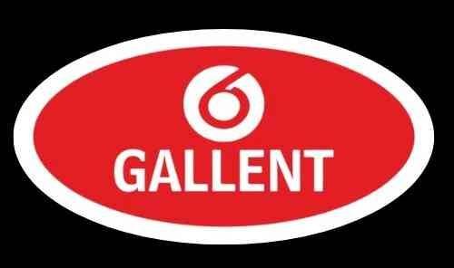 Gallent Security Services Pvt Ltd
