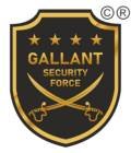Gallant Force Private Limited