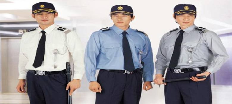 Wisdom Security Services