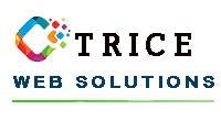 Trice Web Solutions | Digital Marketing Company