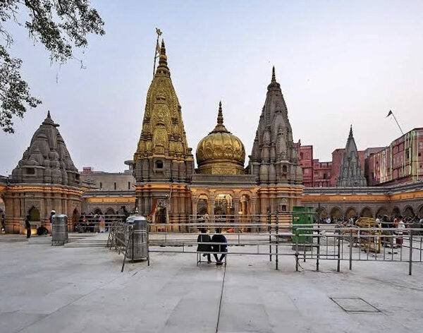 Safariyo Tour & Travels