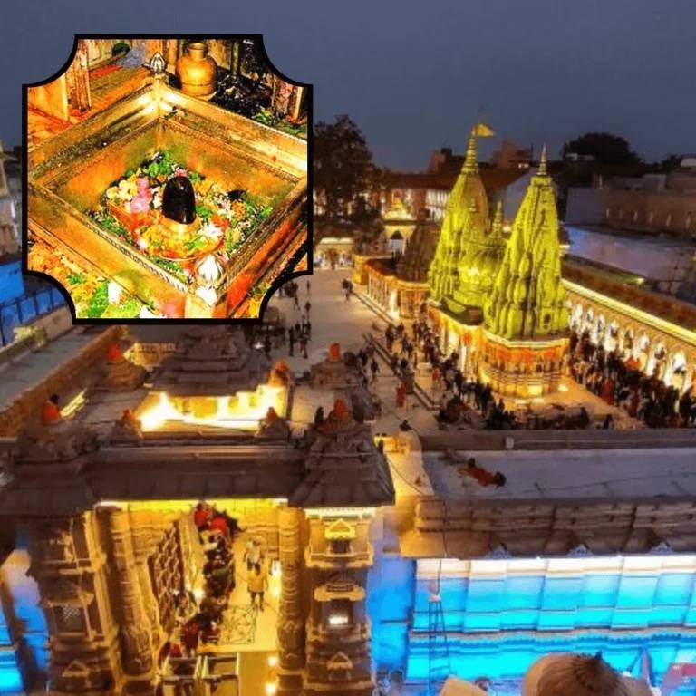 Holy Kashi Tour & Travels | Best Travel Agency