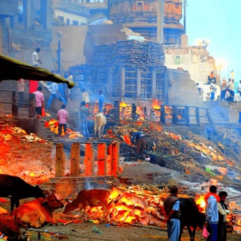 Holy Kashi Tour & Travels | Best Travel Agency