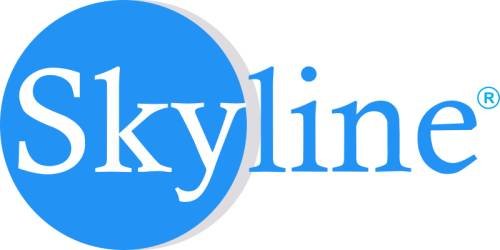 Skyline India Travels Pvt. Ltd.