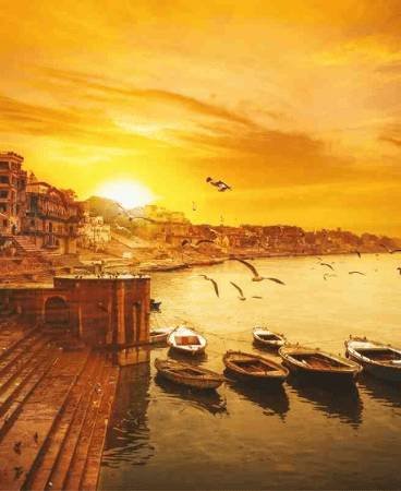 Meera Tours & Travels