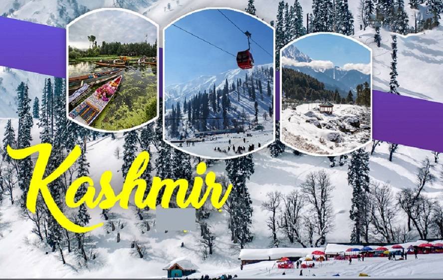 A Plus Holidays & Travels