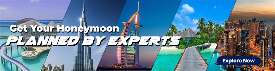 Traveldham.com (By Rising Star Tours & Travels)