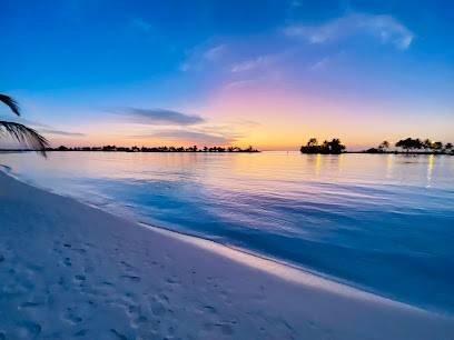 BlueBell Tours & Travels Pvt. Ltd.