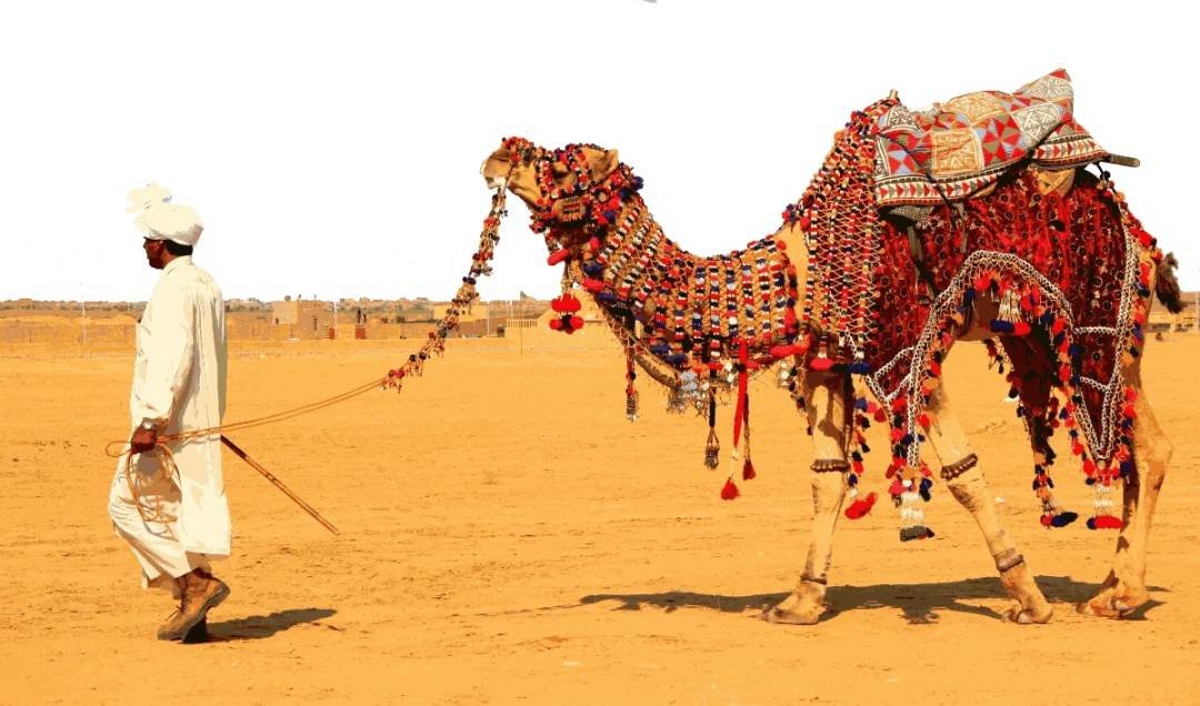 Rajasthan Tour Services