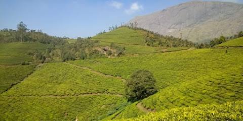 Trions Tours And Travels Private Limited