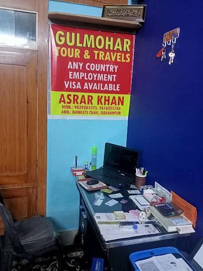 Gulmohar Tours and travels