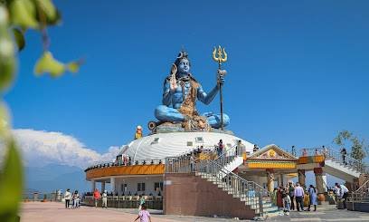 Dolphin Tour And Travels