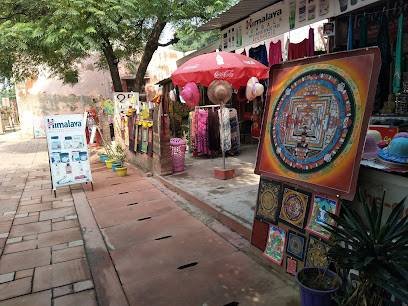 Kashi Tour & Travels