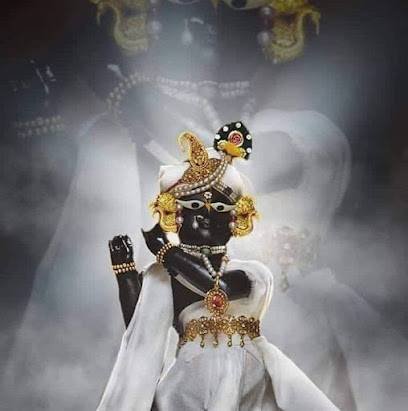 Brij chaurasi kos yatra