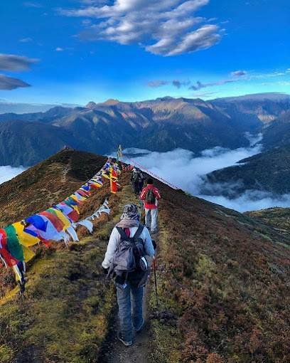 Little Tour & Travels