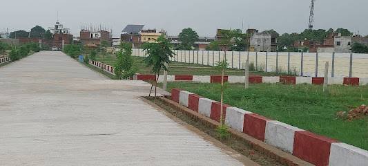 Dreamrise properties