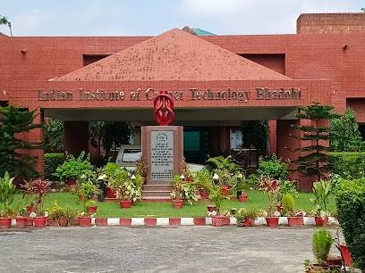 Indian Institute Of Carpet