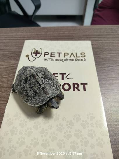 Pet Pals Hospital