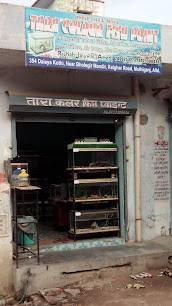 Tara Colour Fish Point