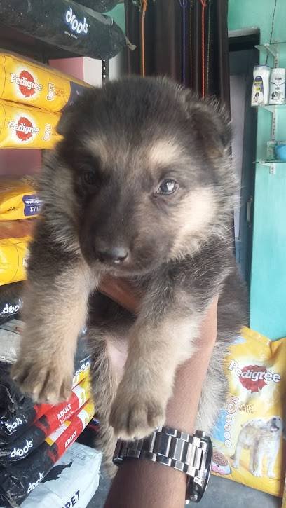 Saif pet clinic & Pet store