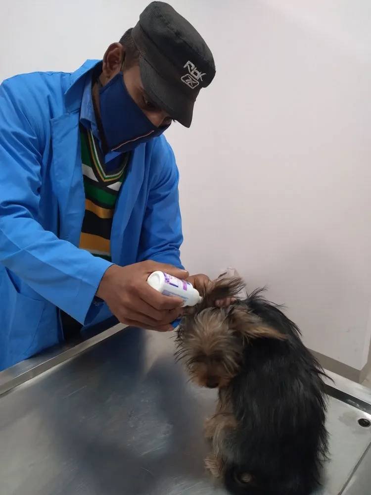 Prolife Pet Clinic & Care Center