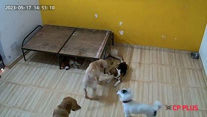 Arpita's kennel (Dog Creche)