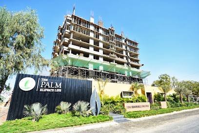 The Palm