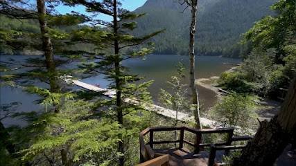 Property Hunt in Himachal