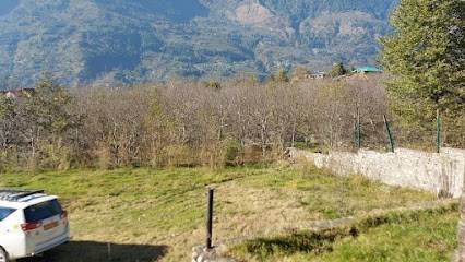 Snow Property Dealer