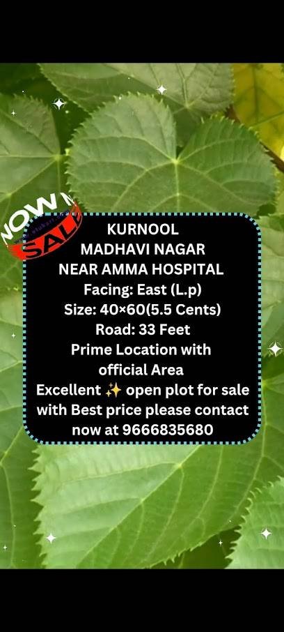 Real estate in kurnool