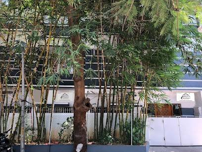 Prosperty Real Estate