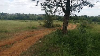 Palani Malai Murugan Real Estate Properties