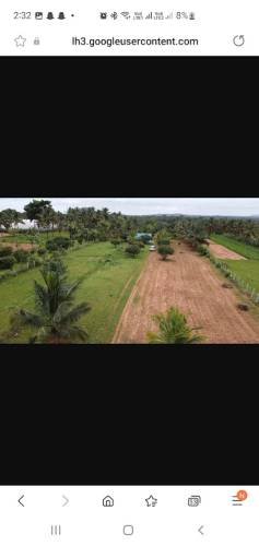 Top Real estate agency