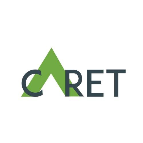Caret IT Solutions