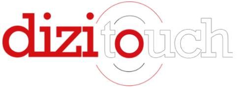 dizitouch